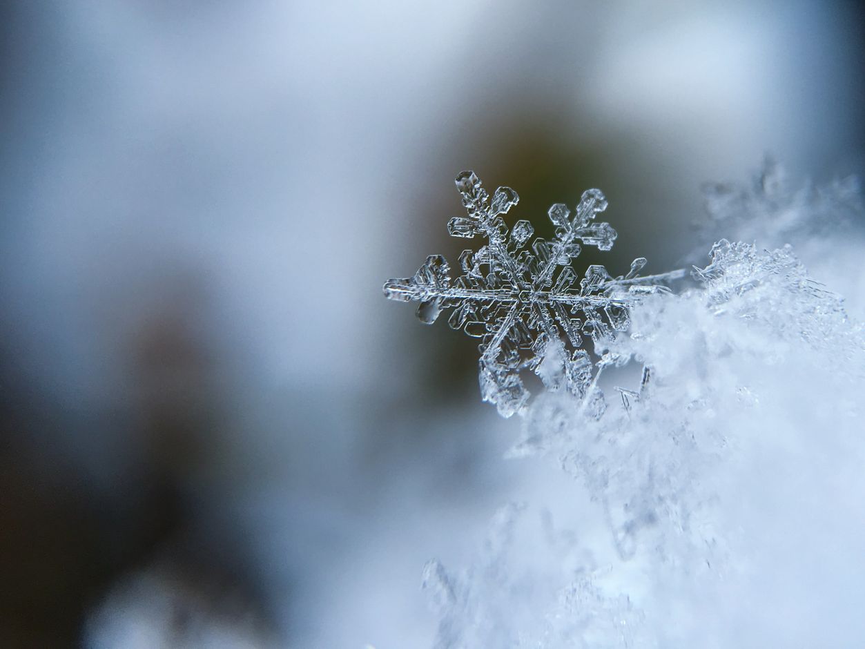 Actieve wintervakantie in Québec